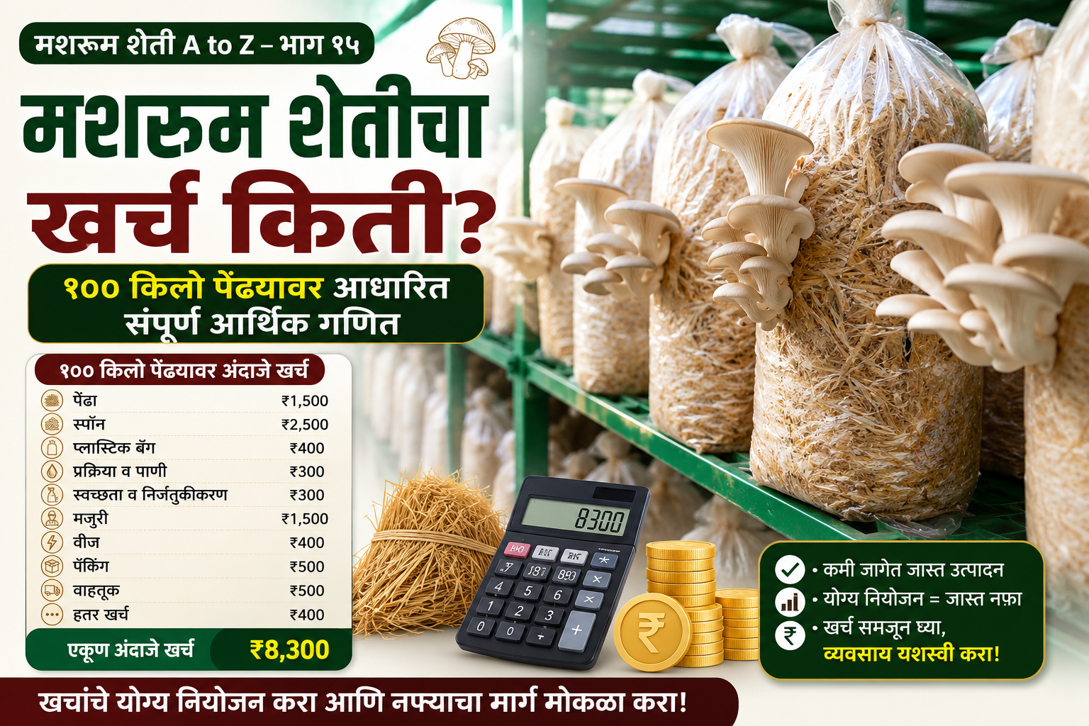 मशरूम शेतीचा खर्च किती? १०० किलो पेंढ्यावर आधारित संपूर्ण आर्थिक गणित